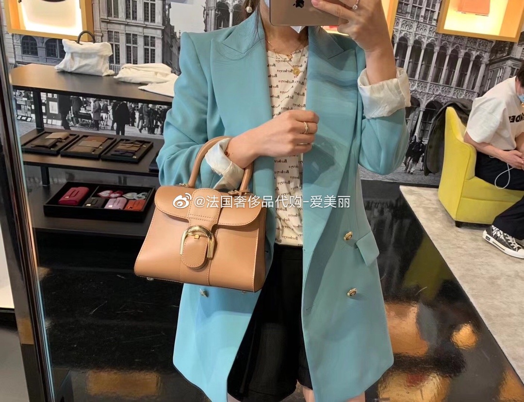 델보 브리앙 박스백 미니